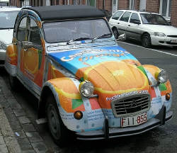 fantastic Citroen 2cv
