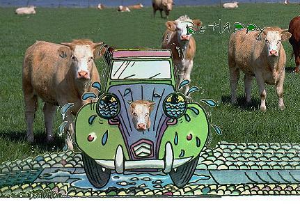 Citroen 2 cv art