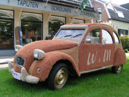 tapijteend